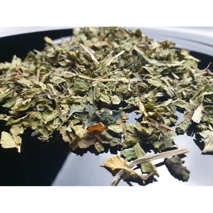 Ortie : Tisane Détox Revitalisante - Boutique Detox